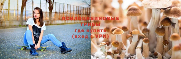 прущая мука Баксан