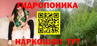 скорость Бийск