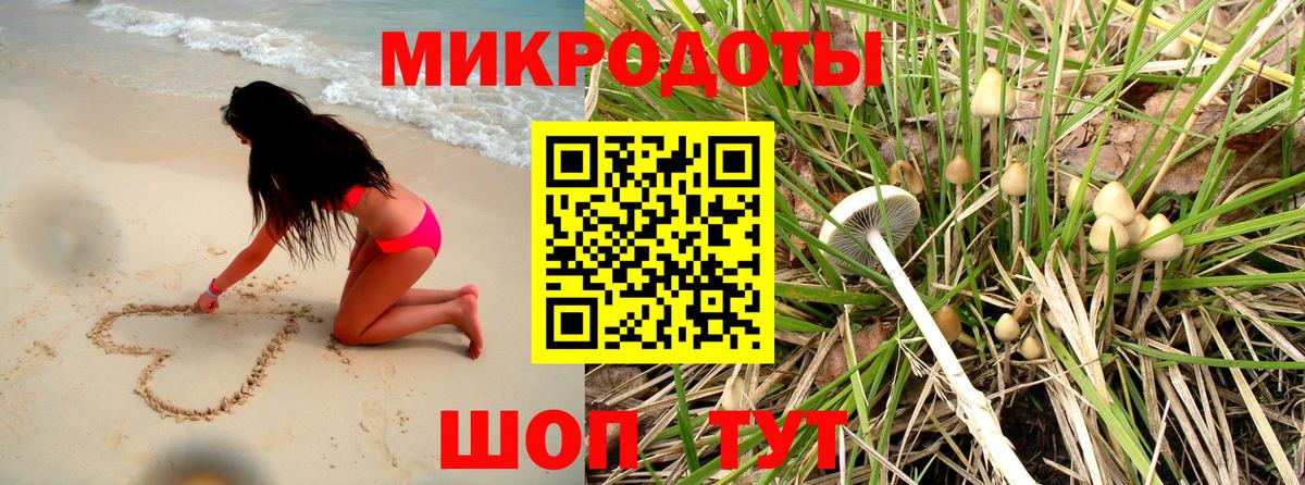 Псилоцибиновые грибы ЛСД Вязники