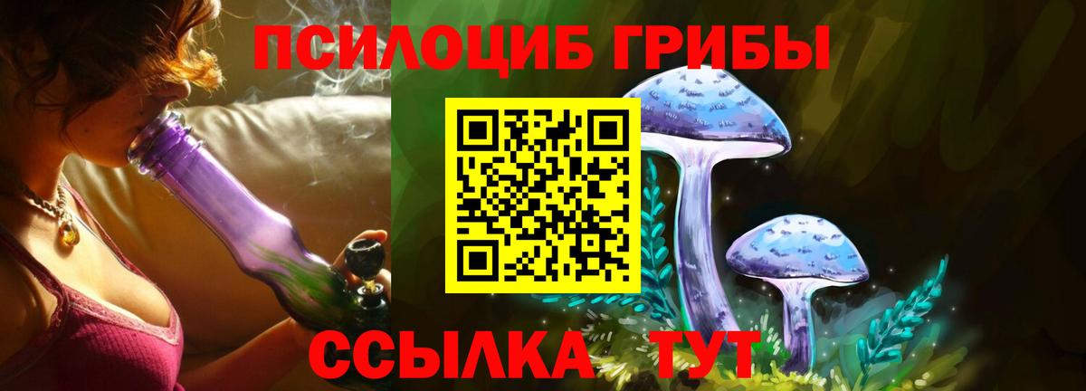 Галлюциногенные грибы Psilocybe  закладки  Псилоцибиновые грибы MAGIC MUSHROOMS  Вязники 